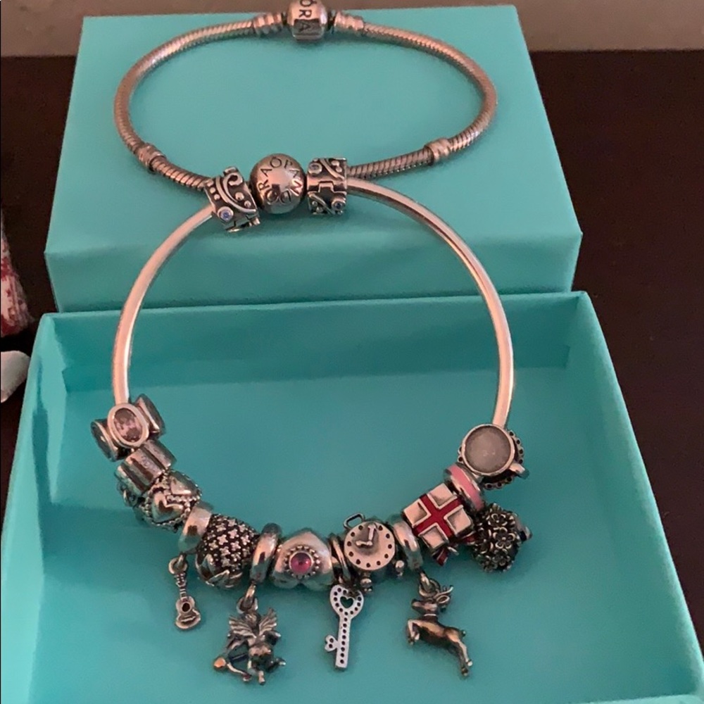 Pandora Bangle w/ All Charms  + Pandora Bracelet